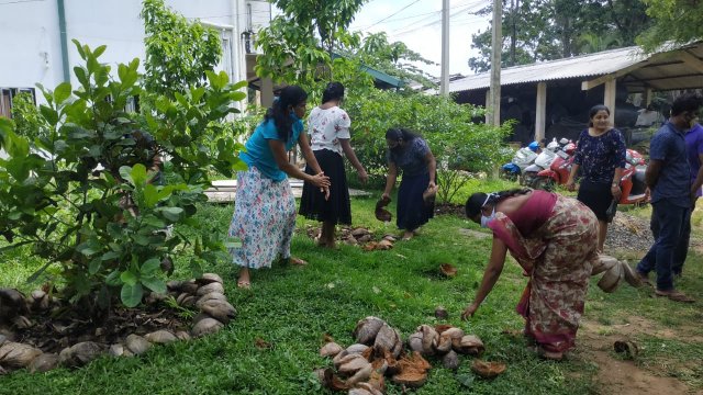 ඩෙංගු මර්ධන වැඩසටහන 2020 මැයි