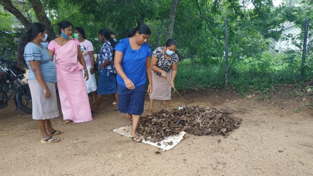 ඩෙංගු මර්ධන වැඩසටහන 2020 මැයි