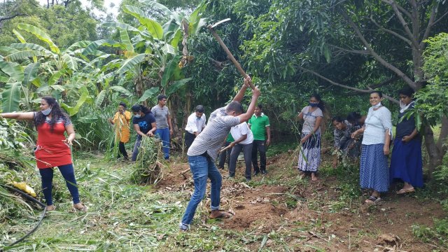 ඩෙංගු මර්ධන වැඩසටහන 2020 මැයි