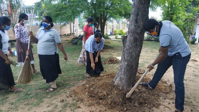 ඩෙංගු මර්ධන වැඩසටහන 2020 මැයි