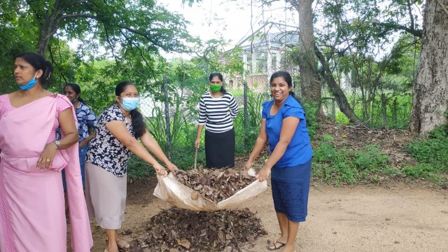 ඩෙංගු මර්ධන වැඩසටහන 2020 මැයි