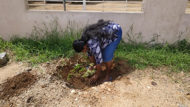 ඩෙංගු මර්ධන වැඩසටහන 2020 මැයි