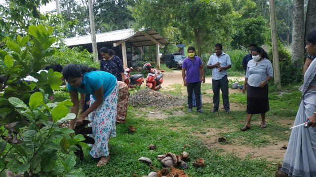 ඩෙංගු මර්ධන වැඩසටහන 2020 මැයි