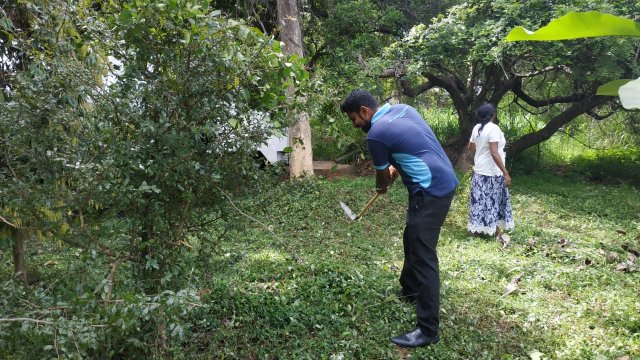 ඩෙංගු මර්ධන වැඩසටහන 2020 මැයි