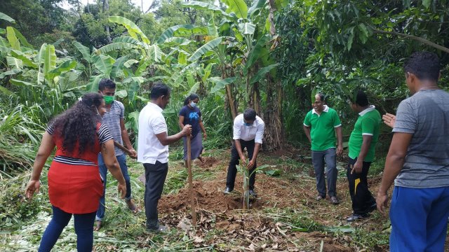 ඩෙංගු මර්ධන වැඩසටහන 2020 මැයි