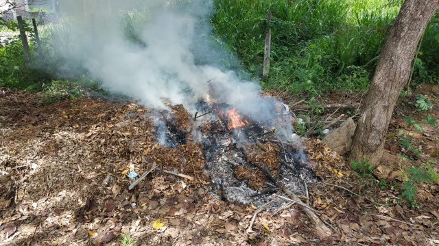 ඩෙංගු මර්ධන වැඩසටහන 2020 මැයි
