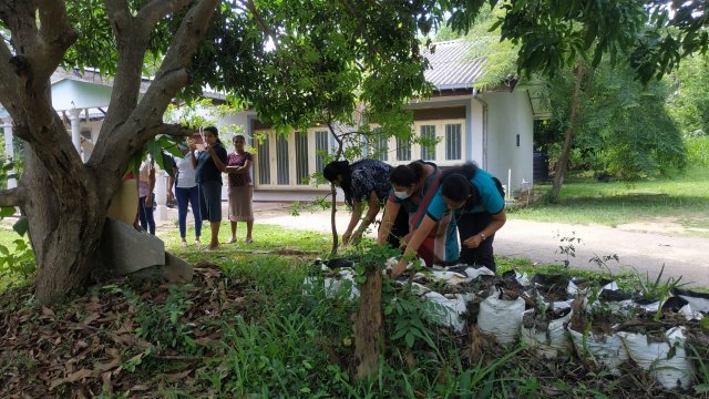 ඩෙංගු මර්ධන වැඩසටහන 2020 මැයි