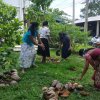 ඩෙංගු මර්ධන වැඩසටහන