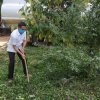 ඩෙංගු මර්ධන වැඩසටහන 2020 මැයි