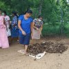 ඩෙංගු මර්ධන වැඩසටහන 2020 මැයි