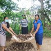 ඩෙංගු මර්ධන වැඩසටහන 2020 මැයි