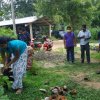 ඩෙංගු මර්ධන වැඩසටහන 2020 මැයි