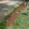 ඩෙංගු මර්ධන වැඩසටහන 2020 මැයි