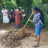 ඩෙංගු මර්ධන වැඩසටහන 2020 මැයි