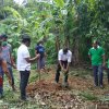 ඩෙංගු මර්ධන වැඩසටහන 2020 මැයි